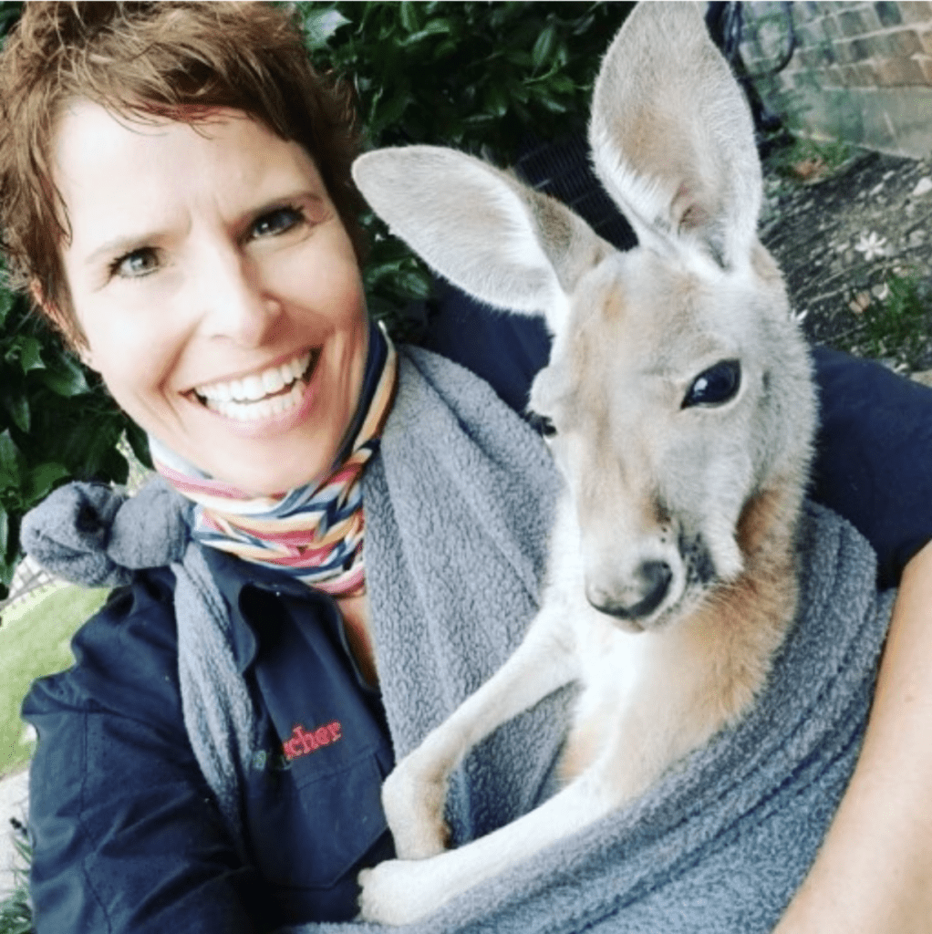 kangaroo-the-creature-teacher