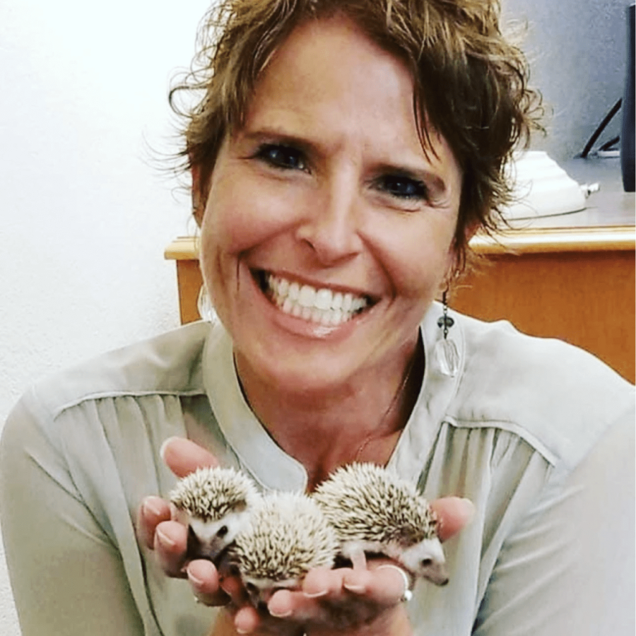 The Creature Teacher holding hedgehogs