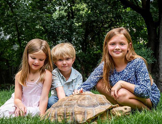 Children petting a large tortoise and smiling