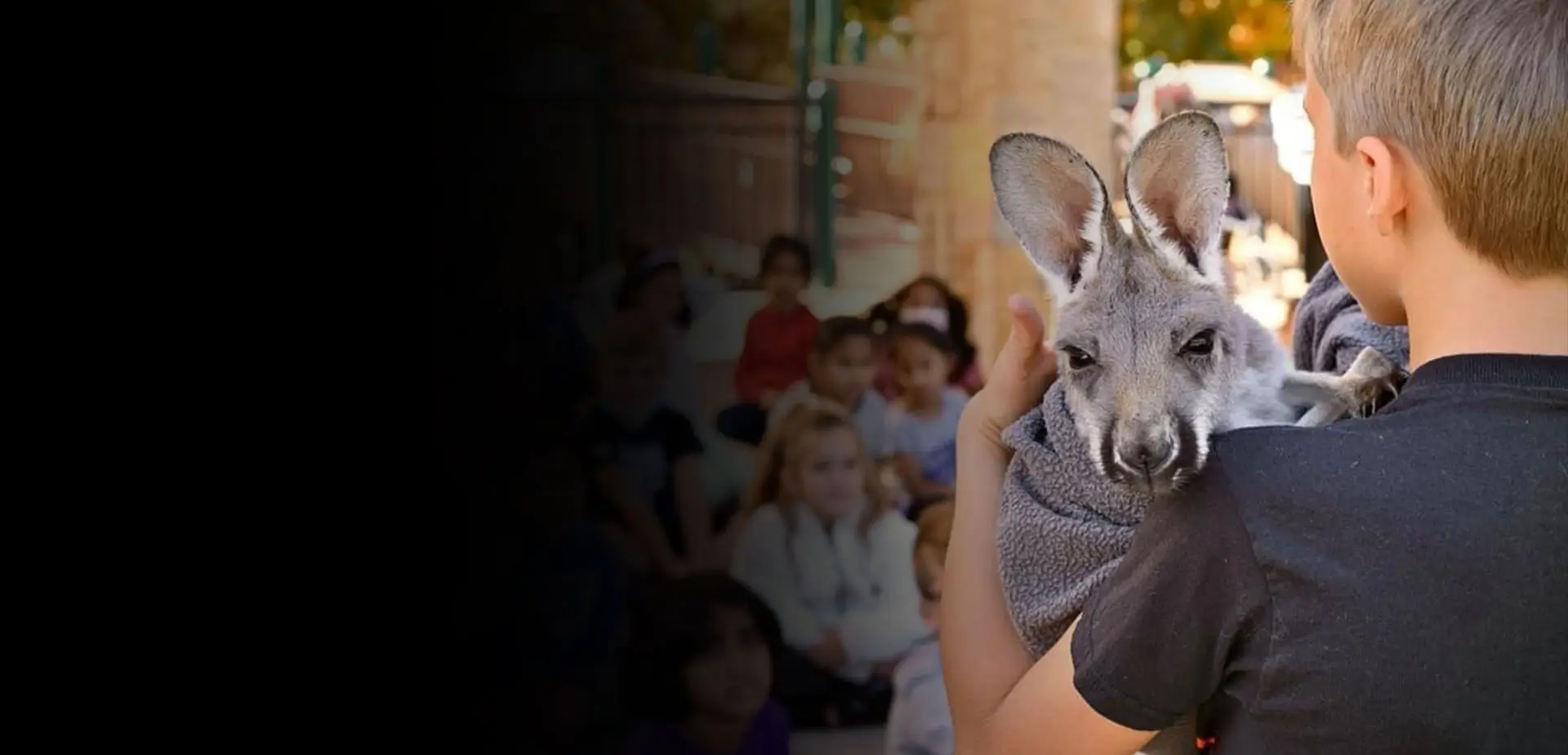 Boy holding a kangaroo at a live animal school program