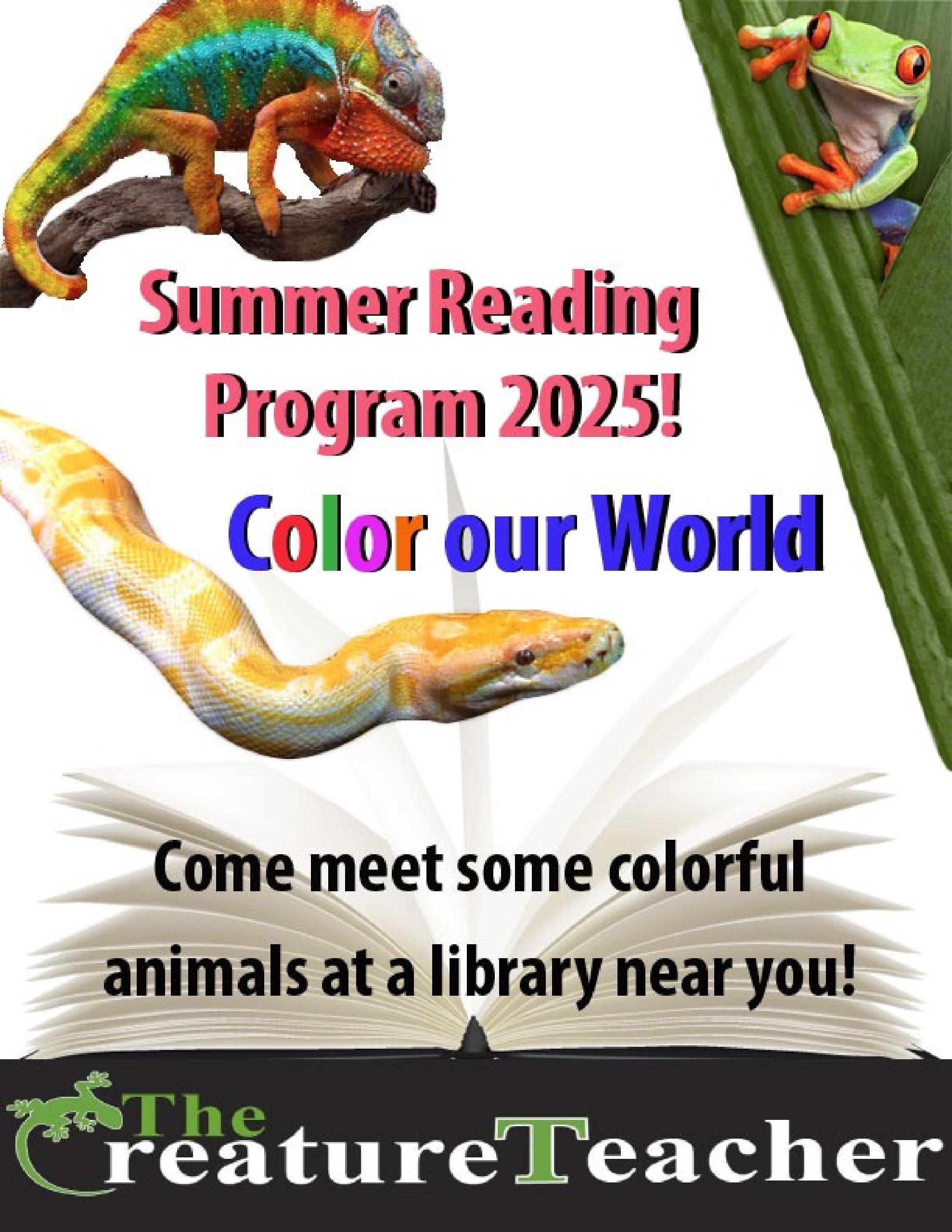 Library Summer Reading Program 2025 flyer for Color our World