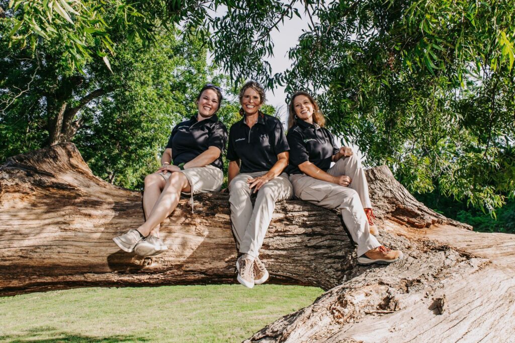 Three Creature Teachers sitting in a tree