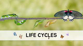 Life Cycles slide show for science students