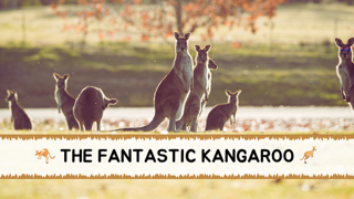 Kangaroo slide show for science students